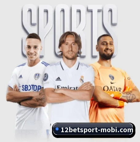 五大服务分区,信息按项目分类 - 12bet